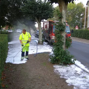 Professionel ukrudtsbekæmpelse